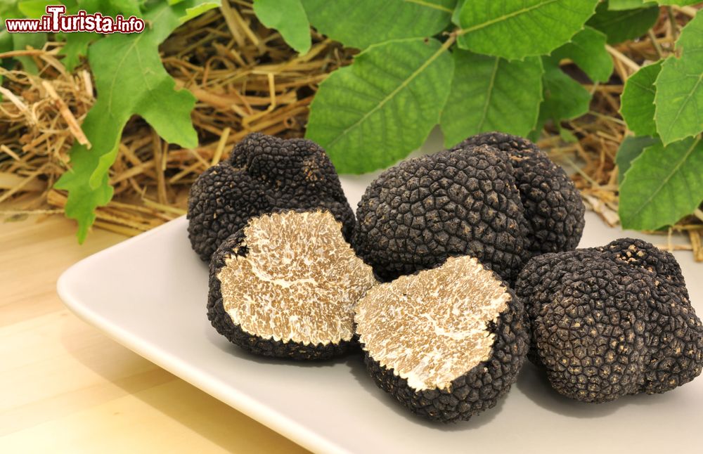 Immagine La Mostra Mercato del Tartufo Bianco a Volterra in Toscana