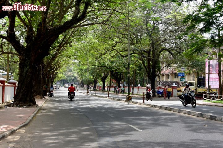 Immagine Motociclette nella verdeggiante avenue Museum-Vellayambalam a Trivandrum, India - © Ajayptp / Shutterstock.com