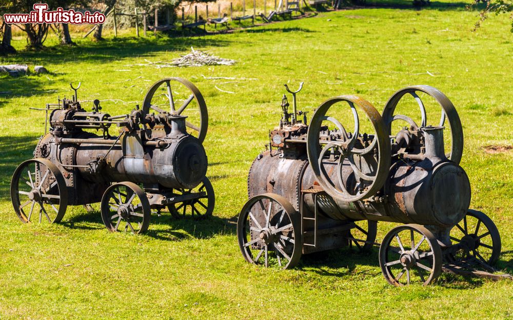 Immagine Motori a vapore nel prato di un museo a Puerto Varas, Cile.