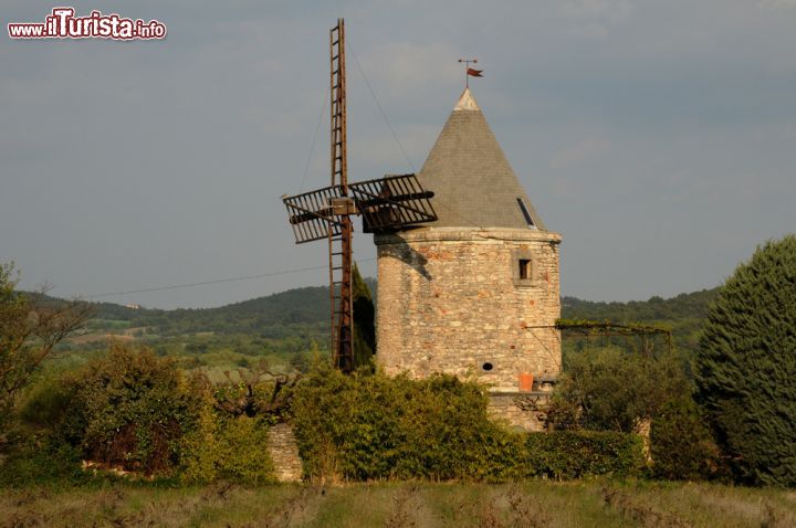 Immagine Mulino a vento a Gordes, Francia - Fra gli incontri tipici di questa zona della Provenza vi sono anche i mulini a vento che si innalzano nelle campagne circondati da campi e coltivazioni © Pack-Shot / Shutterstock.com