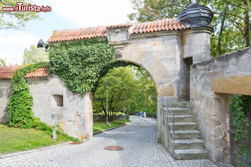 Immagine Mura con edera del castello di Coburgo, Germania - © TGP-shot / Shutterstock.com
