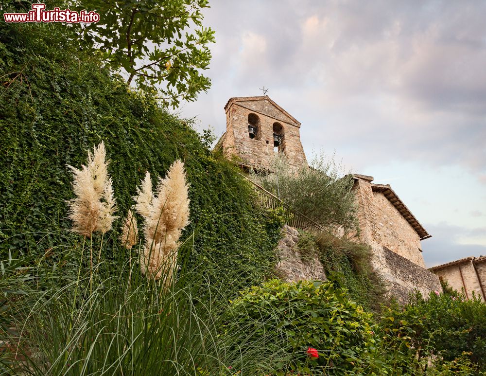 Immagine Mura con rampicanti e campanile della chiesa cattolica visti dal basso di Bevagna, Umbria, Italia.