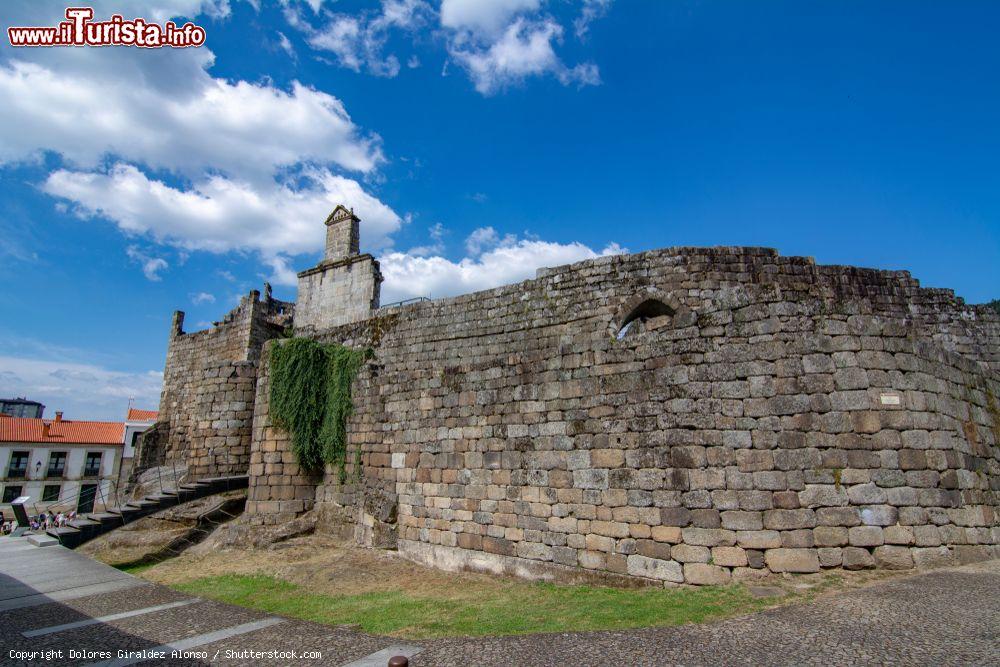 Immagine Mura medievali del castello di Ribadavia, Ourense, Spagna - © Dolores Giraldez Alonso / Shutterstock.com