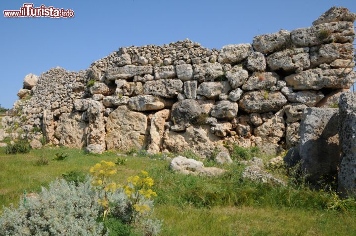 Immagine Le rovine megalitiche di Ggantija, dintorni di Xaghra, isola di Gozo (Malta)- © Pack-Shot