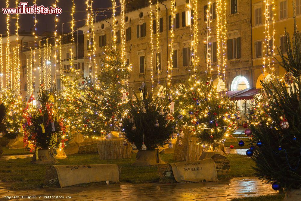 Immagine Natale a San Severino Marche, in Piazza del Popolo - © Buffy1982 / Shutterstock.com