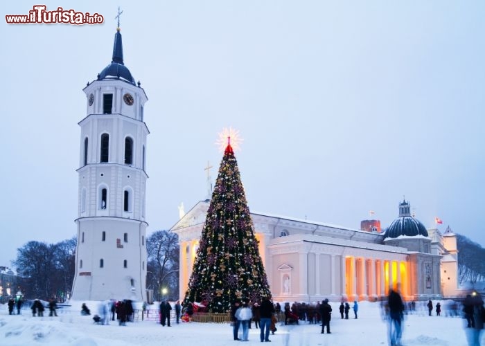 Immagine La piazza della Cattedrale di Vilnius coperta di neve durante il periodo natalizio - © aleksask / iStockphoto LP.