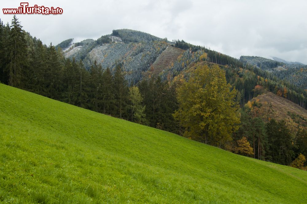 Immagine Natura a Leoben, Austria. Situata a nord della Stiria nella valle del fiume Mura, Leoben è circondata dal monte Hochschwab e della Alpi dell'Eisenerz. 