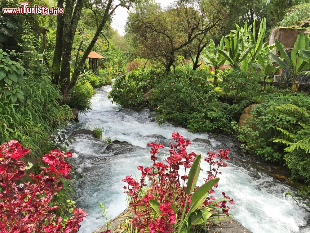 Immagine Natura rigogliosa al Parco Lineal di Uruapan, Messico. Un suggestivo scorcio panoramico di questa lussureggiante foresta nei pressi di Uruapan.