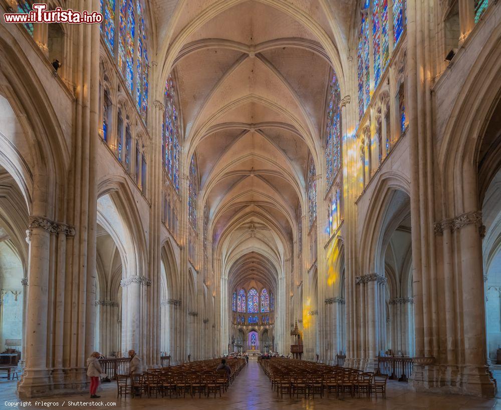 Immagine Navata della cattedrale di San Pietro e San Paolo a Troyes, Francia - © frlegros / Shutterstock.com
