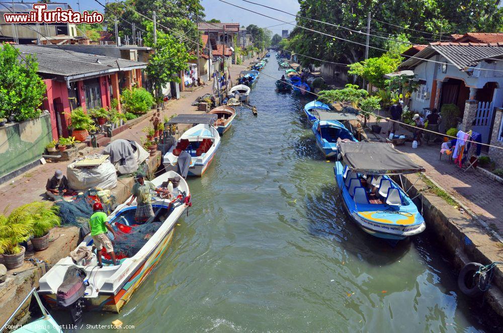 Immagine Negombo, Sri Lanka: imbarcazioni lungo l'Hamilton Canal, conosciuto anche come Dutch Canal,costruito tra il 1802 e il 1804 - © Denis Costille / Shutterstock.com