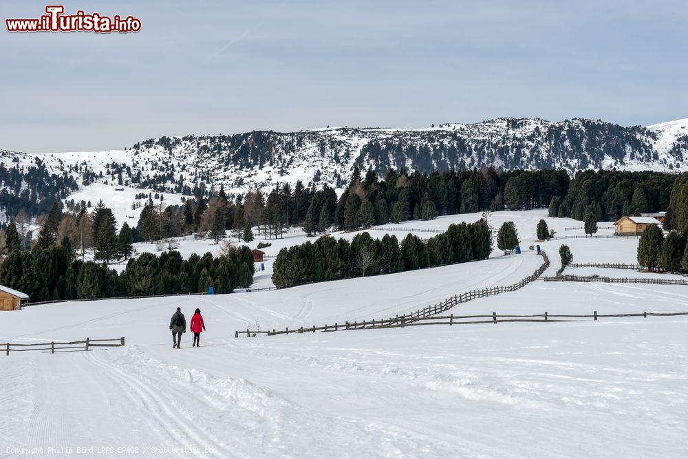 Immagine Neve sull'altopiano a Rinderplatz appena sopra a Villandro in Alto Adige - © Philip Bird LRPS CPAGB / Shutterstock.com