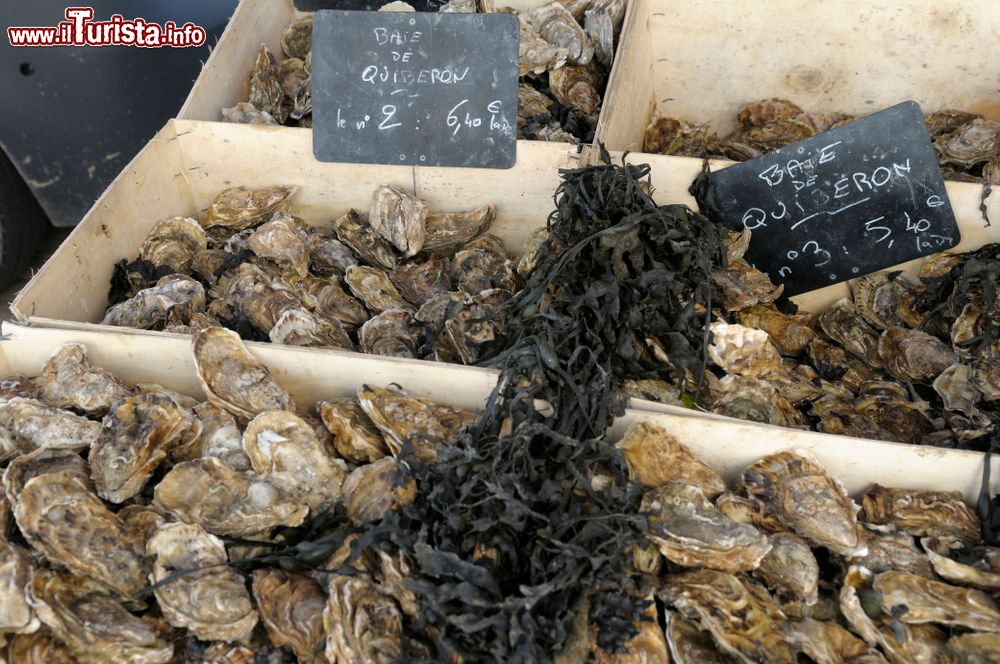 Immagine Nevers, confezioni di ostriche provenienti dalla baia del Quiberon al mercato del pesce (Francia).
