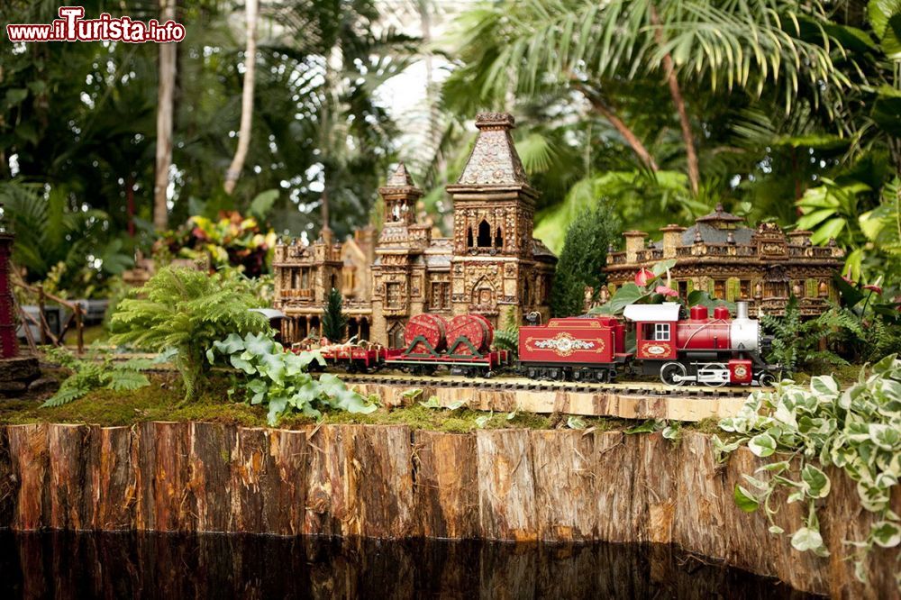 Immagine New York Botanical Garden e Holiday Train Show a New York City