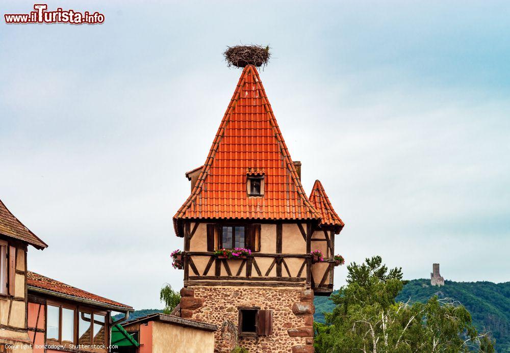 Immagine Nido di cicogna sul tetto di un'antica costruzione nel villaggio di Chatenois, Francia - © bonzodog / Shutterstock.com
