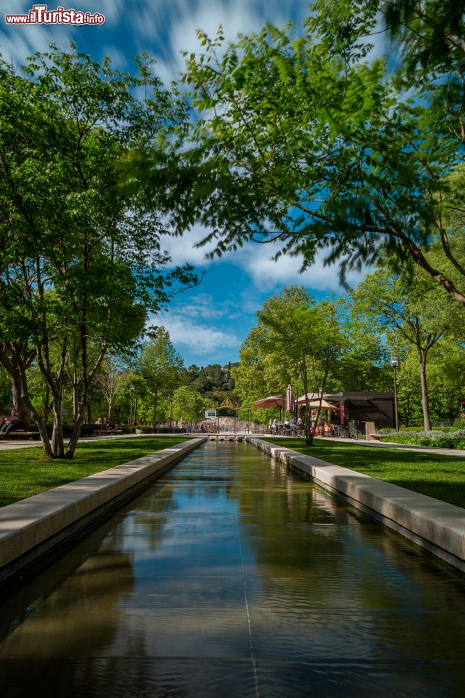 Immagine Nimes, Francia: uno scorcio di Avenue Jean Jaures con i Giardini della Fontana sullo sfondo in estate.