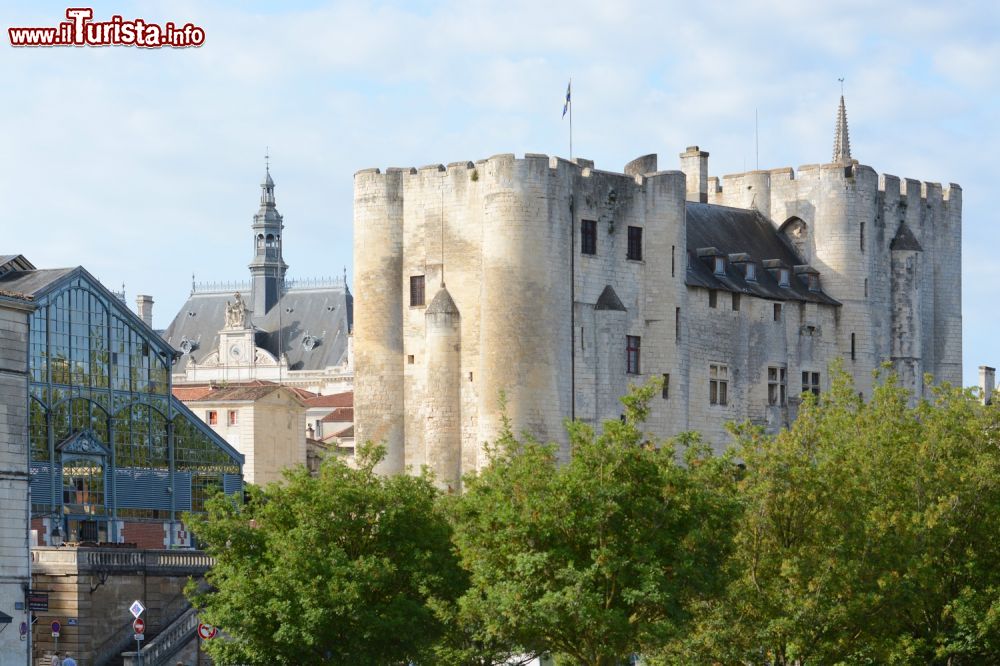 Immagine Niort, Aquitania, il Donjon nel centro Phillippe Wall bx