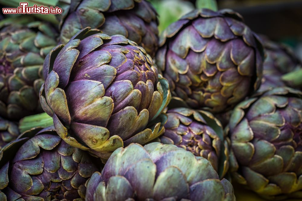 Sagra del Carciofo Violetto Niscemi