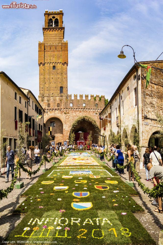 Immagine Noale, Veneto: l'infiorata del Corpus Domini nel centro storico - © REDMASON / Shutterstock.com