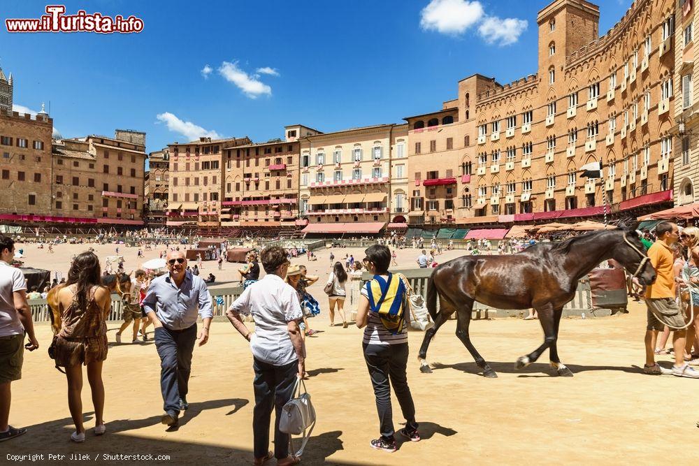 Immagine Non solo a luglio ed agosto! Esiste anche il palio di Siena straordinario, organizzato per ricorrenze particolari - © Petr Jilek / Shutterstock.com