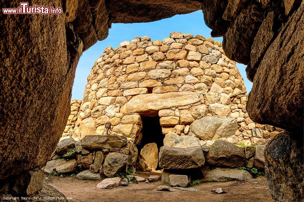 Immagine Nuraghe La Prisgiona: L'area archeologica di La Prisgiona comprende il nuraghe complesso e il villaggio di capanne che si estende intorno ad esso - © Macrolife / Shutterstock.com