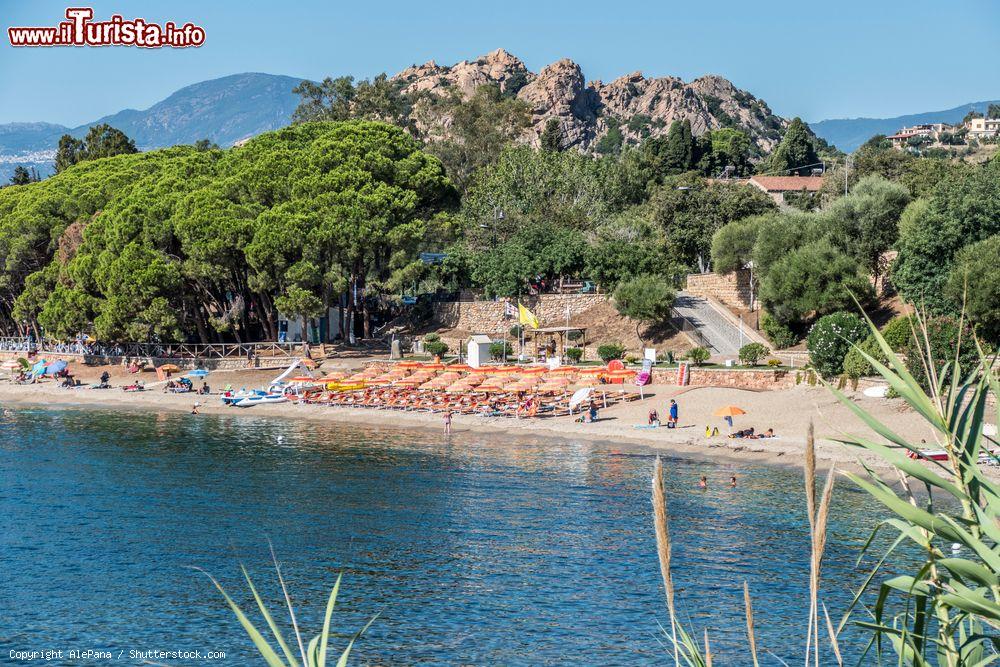 Le foto di cosa vedere e visitare a Santa Maria Navarrese