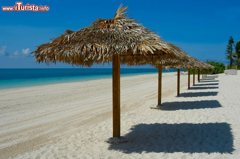 Immagine Ombrelloni di paglia sulla spiaggia di Freeport, Arcipelago delle Bahamas.