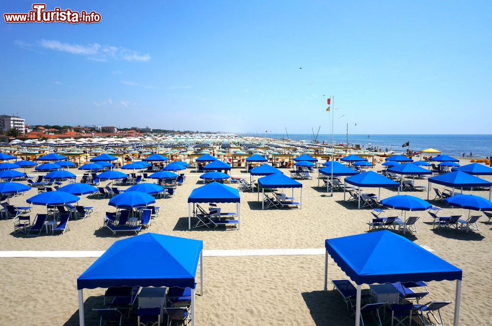 Immagine Ombrelloni e sdraio sulla spiaggia di Marina di Pietrasanta, Toscana.