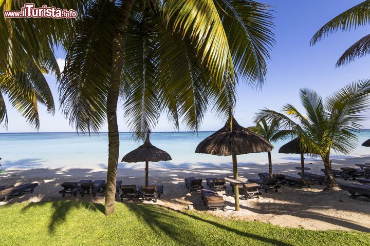 Immagine Ombrelloni in paglia e palme da cocco sulla spiaggia di Mont Choisy, Mauritius (Africa) - © isogood / Shutterstock.com