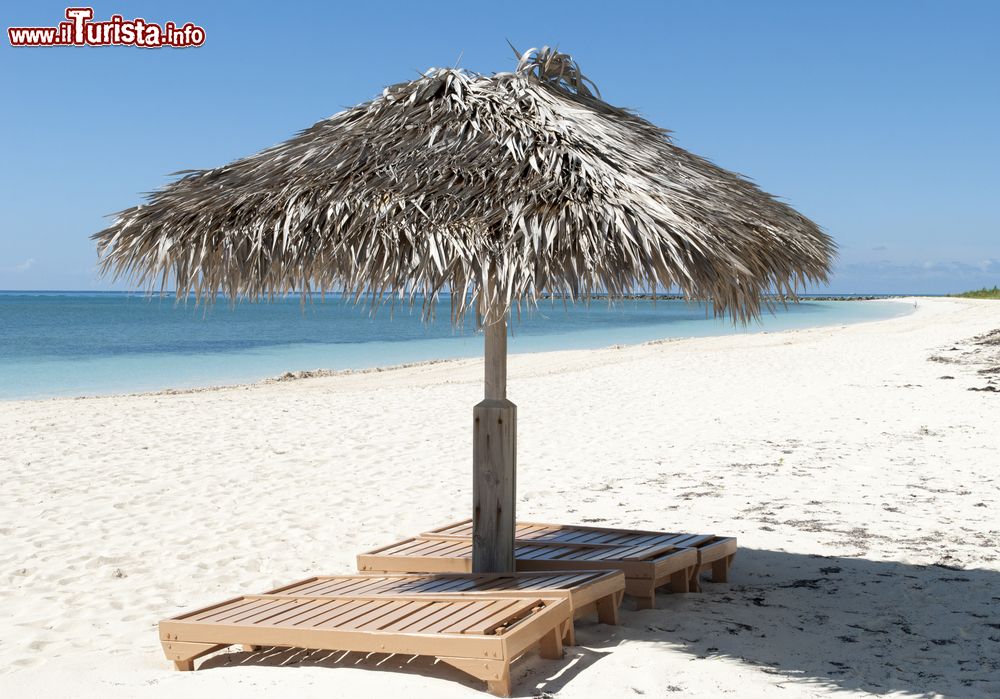 Immagine Ombrelloni in paglia e panche a Coral Beach, Grand Bahama. Siamo nei pressi di Freeport, nella parte occidentale dell'isola di Grand Bahama.