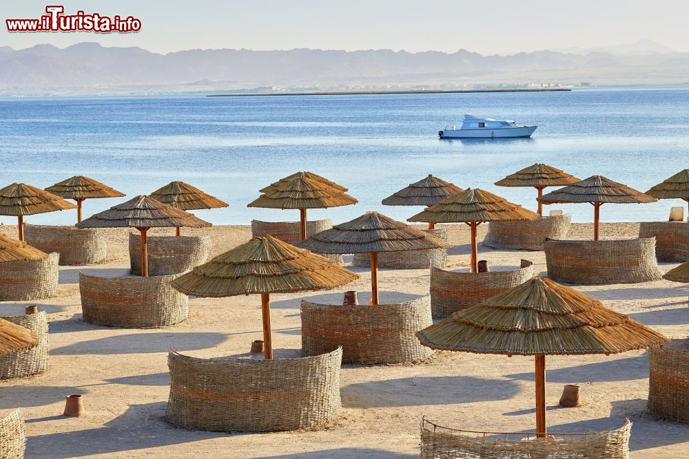 Immagine Gli ombrelloni sulla spiaggia dello Sheraton Soma Bay Resort, circa 40 km a sud di Hurghada, in Egitto - foto © Sheraton Soma Bay