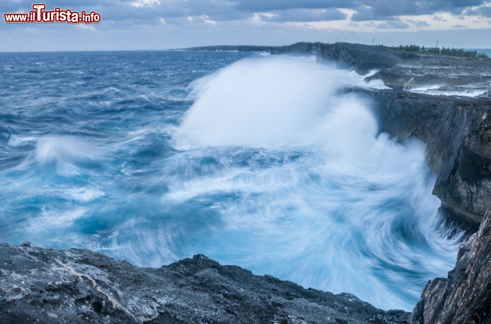 Immagine Onde in una giornata di vento sulle scogliere dell'isola di Eleuthera, Bahamas. Quest'isola scoperta nel 1648 è una sottile striscia di terra a forma di mantide religiosa.