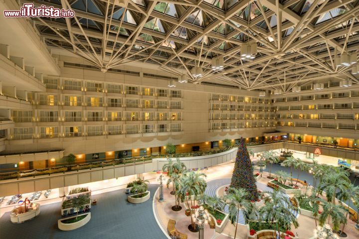 Immagine Aeroporto di Orlando, Florida - Situato a circa 11 chilometri a sud est dal centro città, e precisamente a Orange City, l'International Airport è il principale scalo aeroportuale della città di Orlando © Sean Pavone / Shutterstock.com