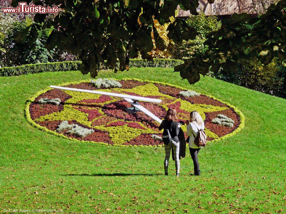 Immagine Orologio di fiori in un parco della cittadina di Nancy in estate (Francia) - © Kumpel / Shutterstock.com