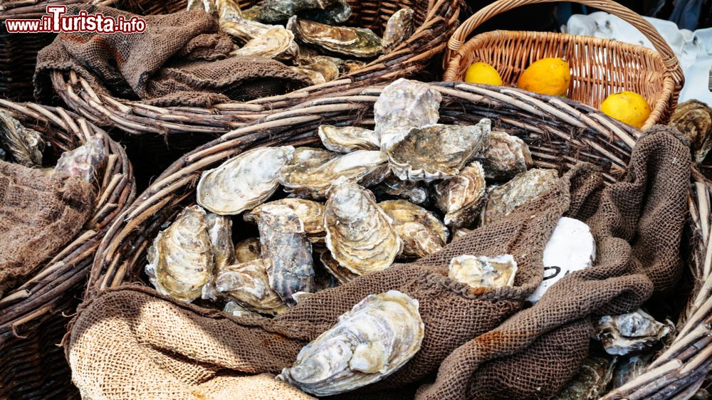 Immagine Ostriche fresche crude al mercato all'aperto di Cancale, Bretagna, Francia.