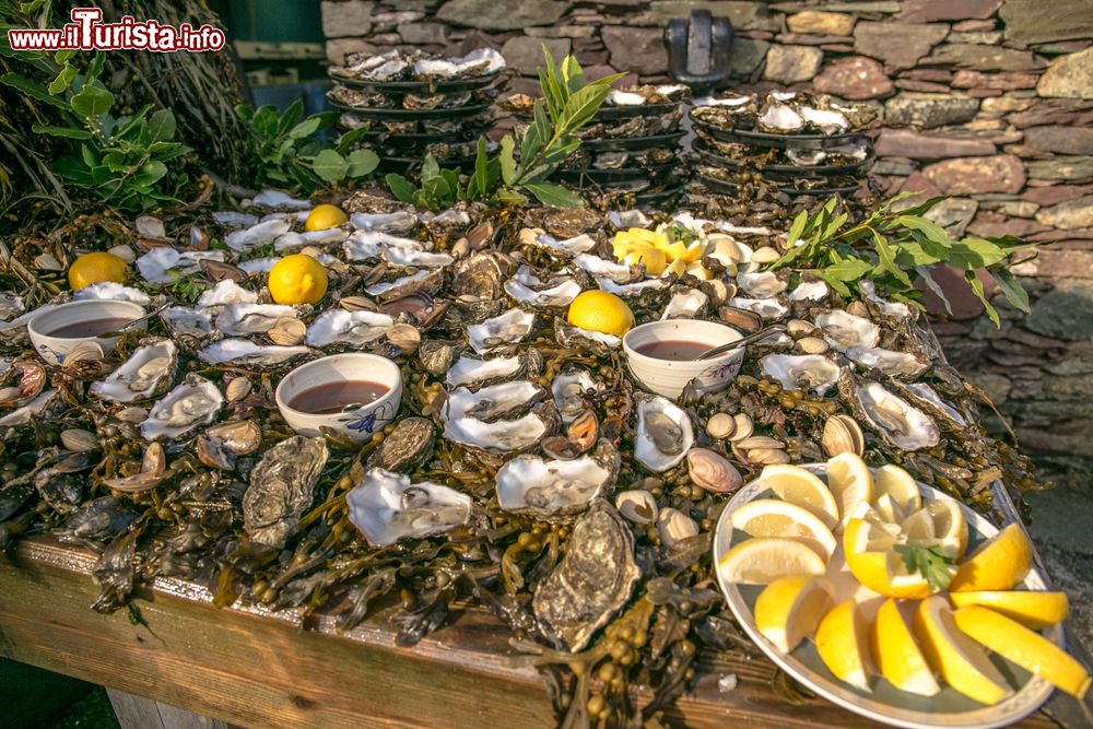 International Oyster & Seafood Festival Galway