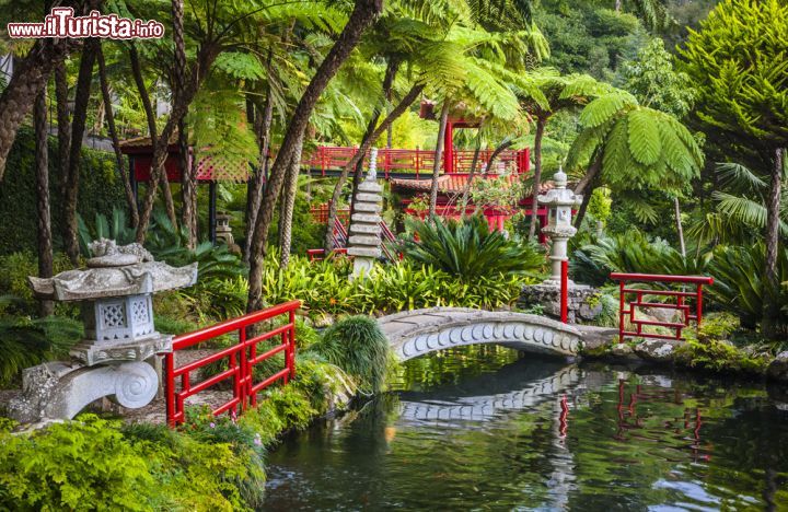 Immagine Il padiglione giapponese Monte Tropical Gardens a Madeira (Portogallo) - Un'area immersa nel verde ma sarebbe più corretto dire un'area immersa totalmente nella bellezza della natura. Vi sono diversi giardini e parchi degni di nota a Madera, anche se il padiglione giapponese ha un valore coreografico decisamente più sottile e racchiude tutta la bellezza antica che con le sue sculture e le sue costruzioni elaborate, ricorda tutto il fascino della cultura orientale, ovviamente impreziosita dai fiori e dai laghetti, un must del Giappone - © Anilah / Shutterstock.com