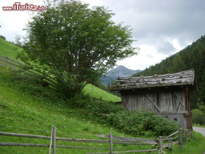 Immagine Il paesaggio agreste in estate nei dintorni di Sarentino in Alto adige - © AMBx / Shutterstock.com