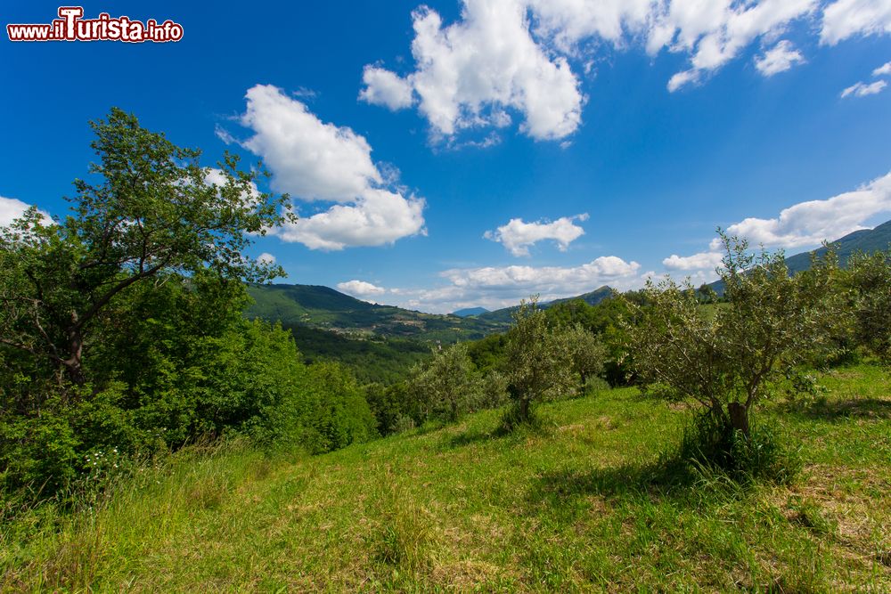 Immagine Il paesaggio agreste intorno a Cusano Mutri in Campania