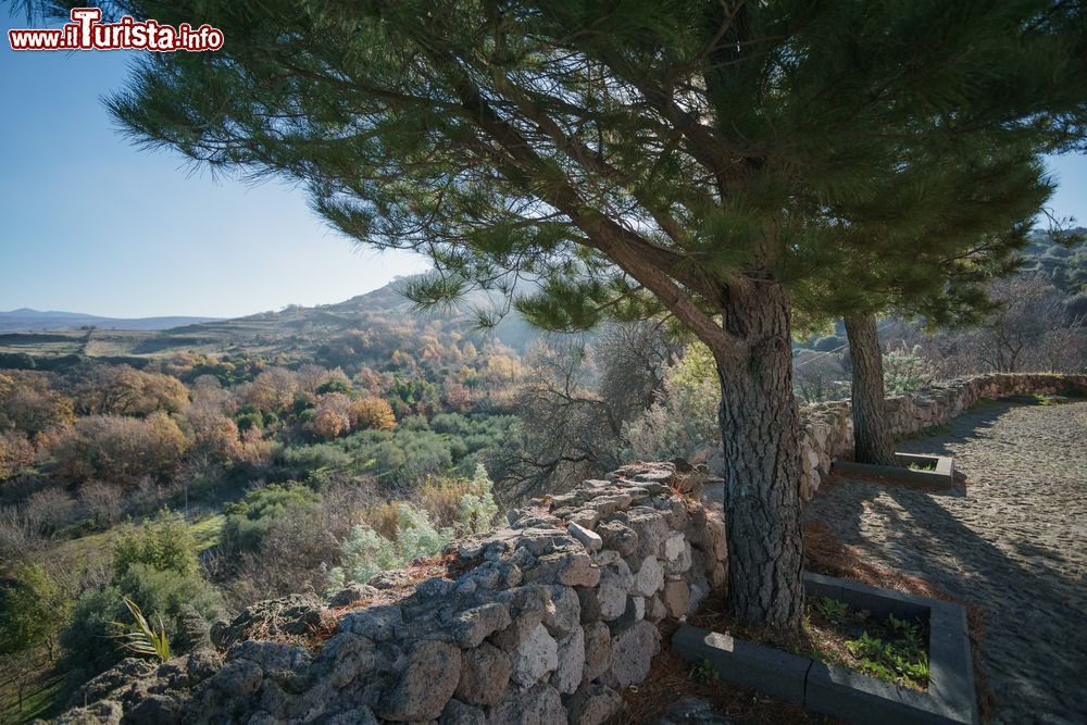 Immagine Paesaggio agreste nei dintorni di Bonorva in Sardegna