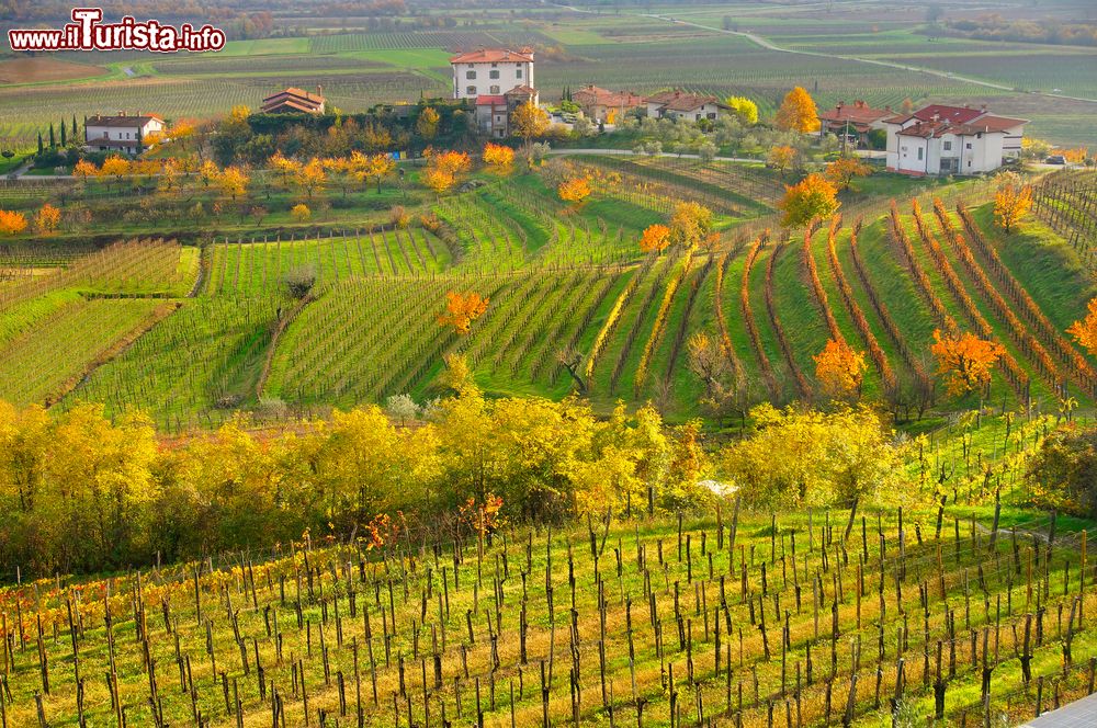 Immagine Paesaggio autunalle nella regione vinicola del Collio non lontano da Cormons