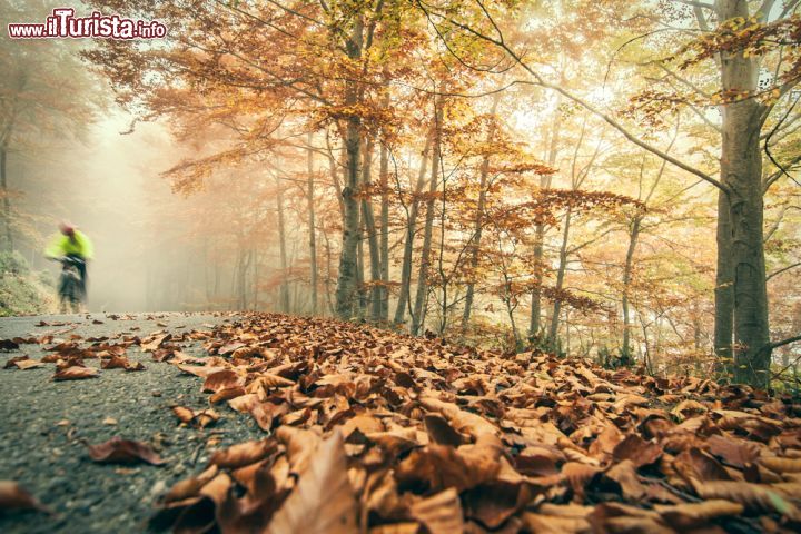 Immagine Paesaggio autunnale a Ezcaray, Spagna - Un suggestivo scenario naturale nei pressi di Ezcaray fotografato in una giornata di foschia © funkyfrogstock / Shutterstock.com