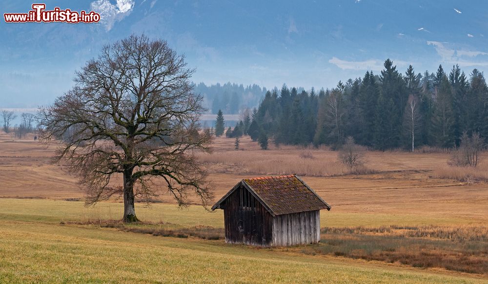 Immagine Paesaggio autunnale intorno a Murnau am Staffelsee in Germania