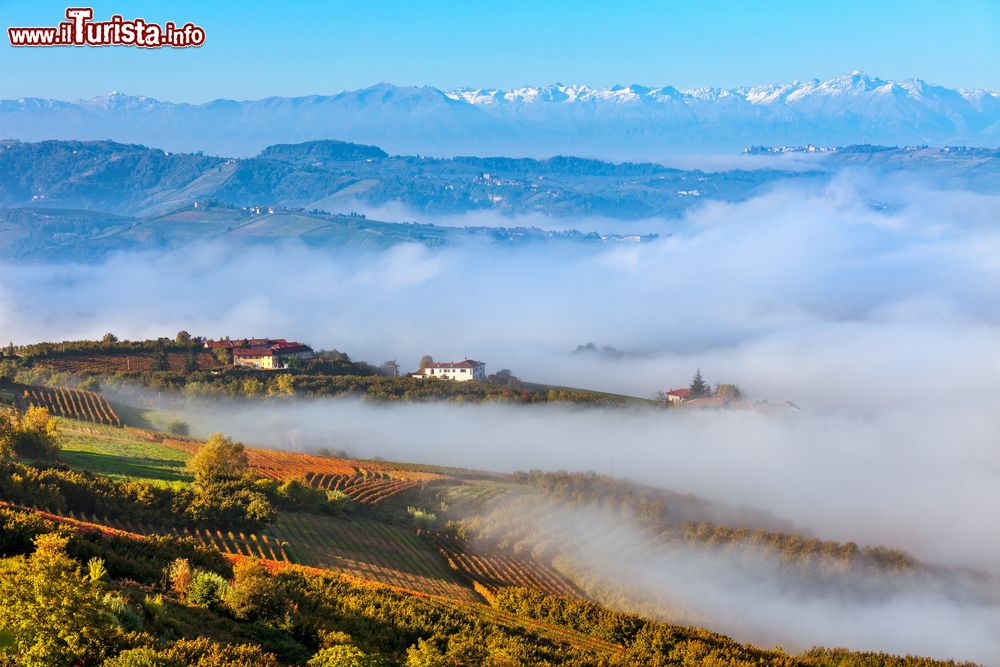 Immagine Paesaggio autunnale lungo un strada delle Langhe in Piemonte