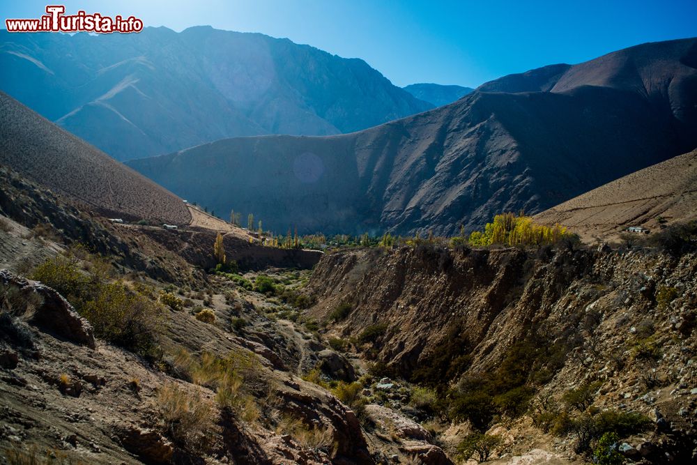 Immagine Paesaggio autunnale nei pressi di Pisco Elqui durante la caduta delle foglie, Cile.