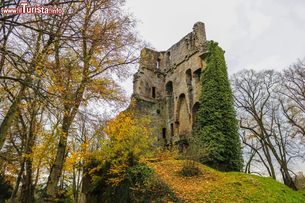 Immagine Paesaggio autunnale nel dipartimento del Calvados, Normandia: siamo a Vire, antica città fortificata.