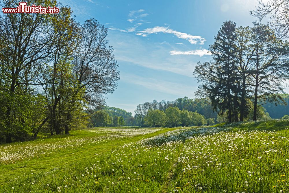 Immagine Paesaggio bucolico nelle campagne della Turingia in Germania