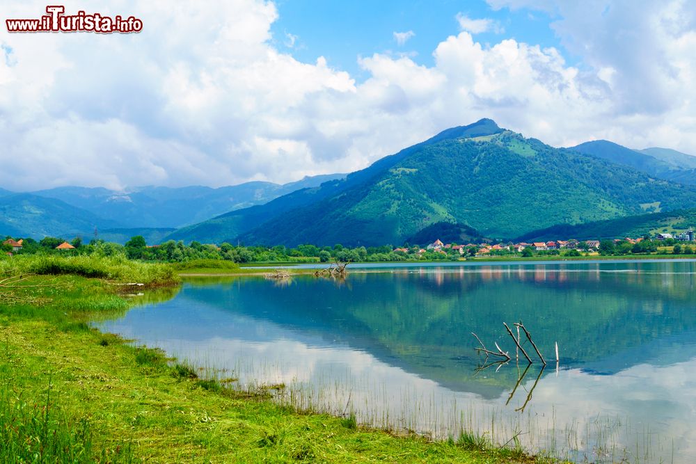 Immagine Paesaggio con il lago e la città di Plav, Montenegro. Su questo bacino lacustre, il più accessibile lago di montagna del Montenegro, si affaccia la cittadina situata ai piedi delle Prokletije, alle sorgenti del fiume Lim.