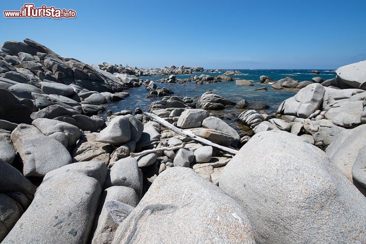 Immagine La costa rocciosa di Lavezzi, una delle isole più famose del Mediterraneo centrale.