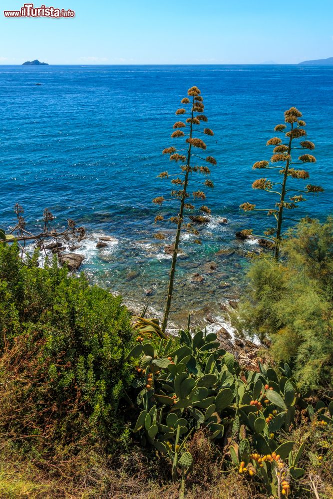 Immagine Paesaggio costiero a Piombino, provincia di Livorno, Toscana.