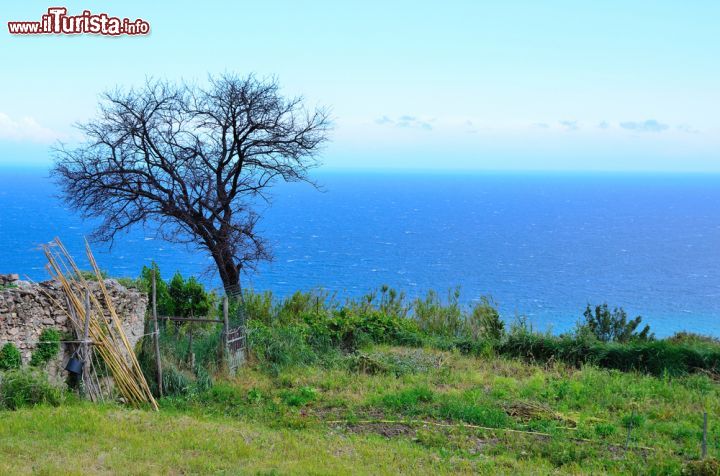 Immagine Paesaggio costiero nei pressi di Borgio Verezzi in Liguria - © maudanros / Shutterstock.com